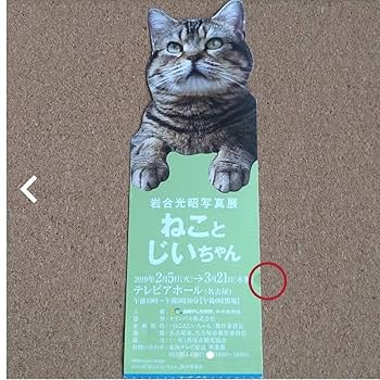 Amazon | 落合光昭 ねことじいちゃん ポストカード | ポスト